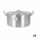 Casserole with lid 41 x 33 x 19 cm (3 Units)
